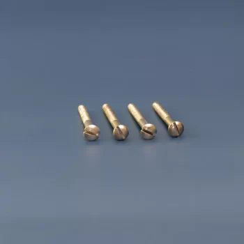 slotted-head-neck-mounting-screws